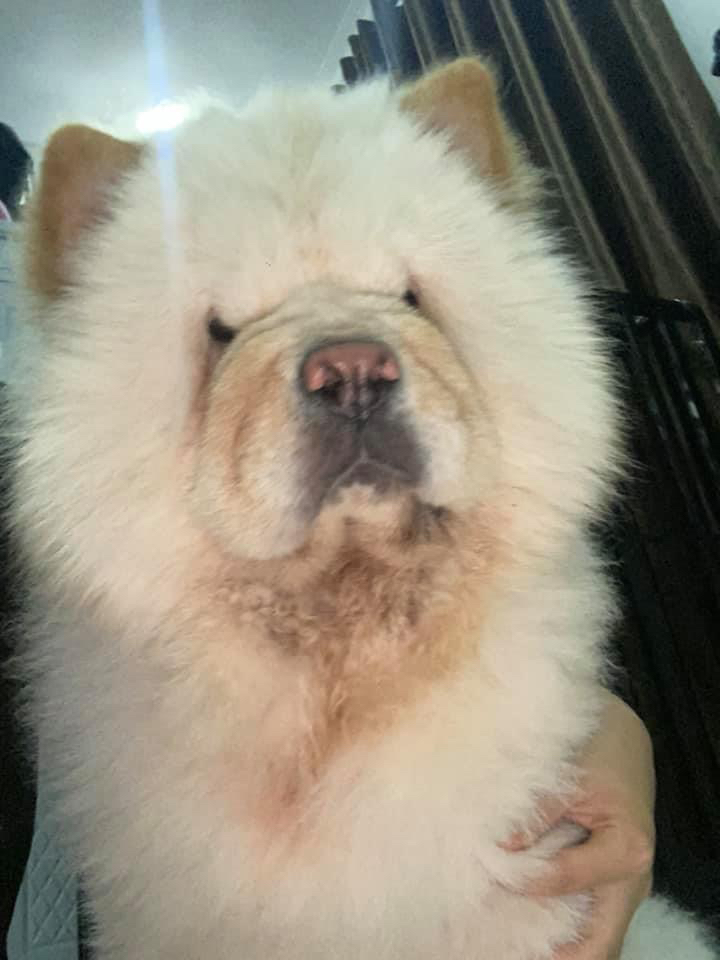 chheng chheng