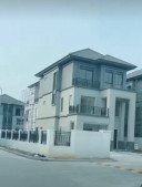 Monipich p-316655544