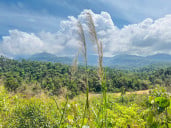 Sl sok