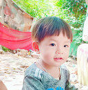ពូ វេត