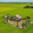 ស៊ុន លុច