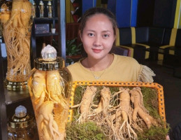 Ginseng Korea យិនស៊ិនកូរ៉េ