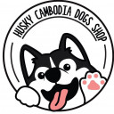 Husky Cambodia Dogs Shop