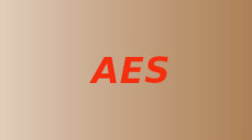 Angkor Excess Stuffs (AES)