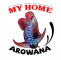 MyHome Arowana