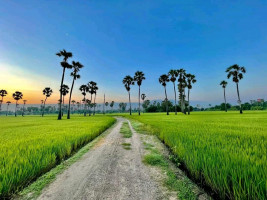 កំពង់ចាម ដួងចិត្ត