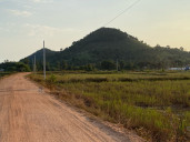 Land for Sales