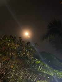 ទីតាំង​ច្បារអំពៅ​ លក់