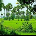 Soth NaRith