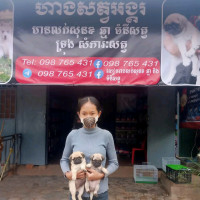 Dog's pet shop siem reap p-98765431