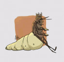 termite control by Tii
