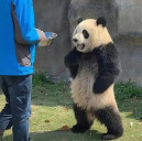 Zhi Lung