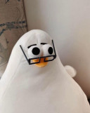 Boi Bo