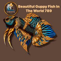 Beautiful Guppy Fish In The World 789