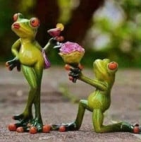 ទន់ ម៉ានិត