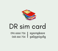 DR SIM