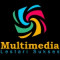 PT MULTIMEDIA LESTARI SUKSES