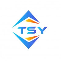 TSY Technology