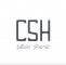 CSH Auto parts