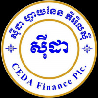 CEDA Finance