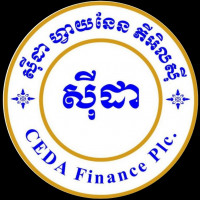 CEDA FINANCE PLC