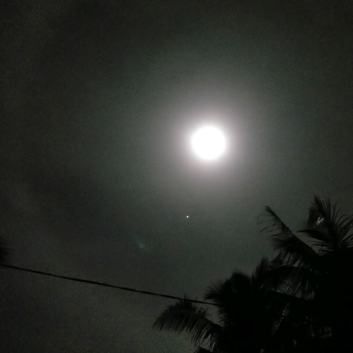 លក់ ខ្លួនឯង