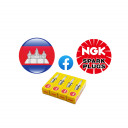 Spark Plugs Ngk