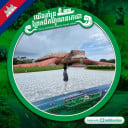 ទ្រី ស្រ៊ុន