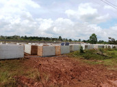 Banana Solar Farm