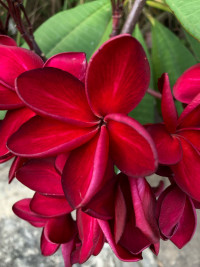 Nice Place to stay m2