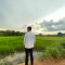 Dy Sky