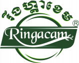 Ringacam Sale