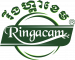 Ringacam Sale