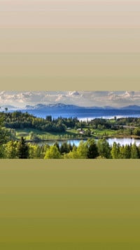 ឯកទេសតម្រងនោមនិងអសមត្ថភាពផ្លូវភេទ