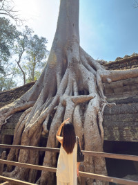 មុី មុី ម្ចាស់ផ្ទាល់