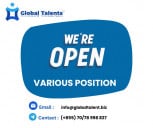 Global Talents Consulting