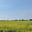 ហេង​ ចំរើន