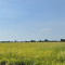 ហេង​ ចំរើន