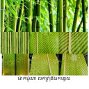 ម៉ាក់ម៉ូណា លក់ព្រុំនិងកន្ទេលគ្រប់ប្រភេទ