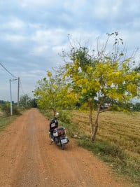 បងវឌ្ឍន៍ លក់ទូរស័ព្ទ