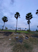នរិន្ទ ស័ក្ក
