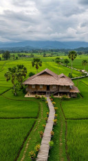 ភាព ភាព