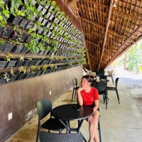 Kim Ly ( Telegrams) 098 333 971