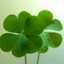 Crystal Lucky