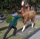 Tab Tom