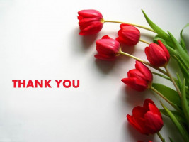 លក់យ៉ាន់ឡានហាយឡែនឌឺ04-ហ្សុីន Sell steel Wheel-Car HLD