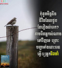Pheng Veasna