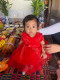 ទី នី