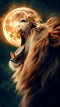 huykh16899 @gmail.com