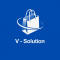 V - SOLUTION